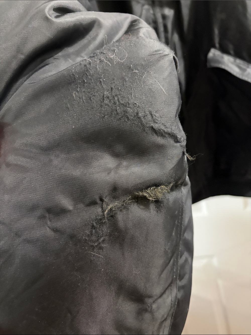 Bomber jacket - Picture 6 of 10